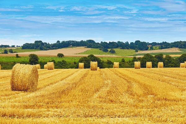 secteur-agricole-:-le-«-recu-d’entreposage-»-operationnel