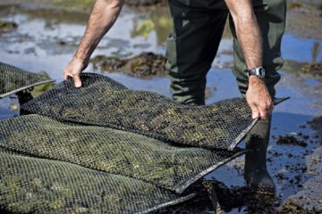 loi-pour-la-protection-de-l’agriculture-littorale-:-de-quoi-ca-parle-?