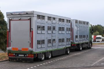 agriculteurs-:-des-abattoirs-bientot…-mobiles-?