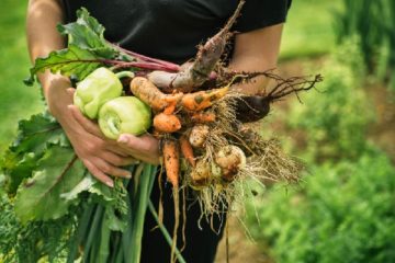 formation-des-agriculteurs-:-quel-temps-passe-en-cfa-?