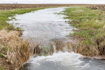 creation-d’un-nouveau-droit-de-preemption-pour-preserver-les-ressources-en-eau