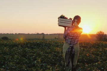 agriculteurs-:-des-evolutions-juridiques-a-connaitre