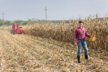 installation-d’un-agriculteur-:-l’age-(ne)-fait-(pas)-tout-?