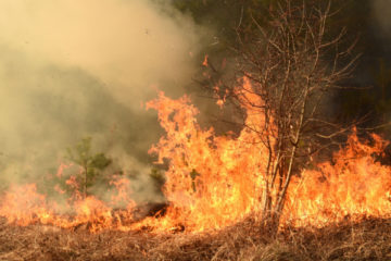 prevention-et-lutte-contre-les-incendies-:-renforcement-de-la-reglementation