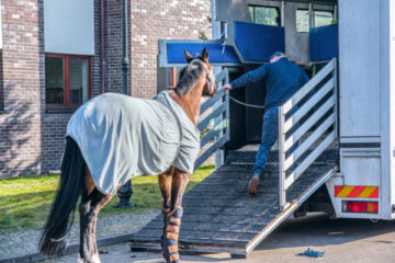 transport-de-chevaux-par-un-agriculteur-=-chronotachygraphe-?