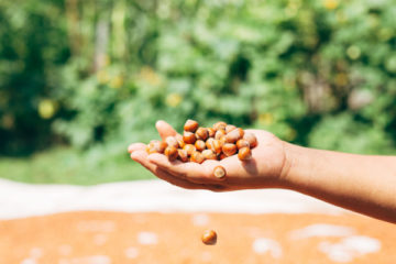 aide-financiere-pour-les-agriculteurs-biologiques-:-un-delai-supplementaire-!