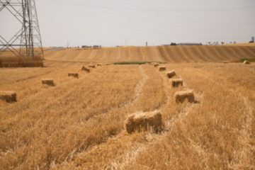 un-exploitant-agricole…-qui-ne-l’est-pas-vraiment-?