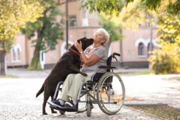 ehpad-et-animaux-de-compagnie-des-residents :-les-conditions-sont-connues !